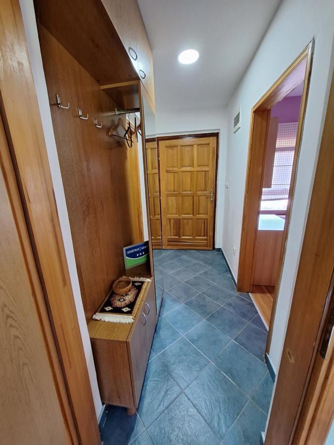 Apartman Sara Pale - Ski Centar Ravna Planina Ngoại thất bức ảnh