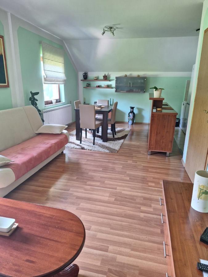 Apartman Sara Pale - Ski Centar Ravna Planina Ngoại thất bức ảnh