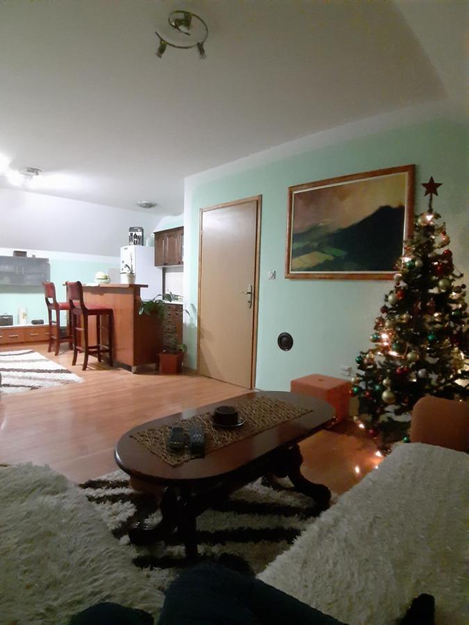 Apartman Sara Pale - Ski Centar Ravna Planina Ngoại thất bức ảnh
